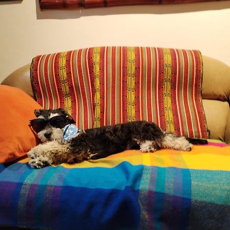 Flying Donkey Bed & Breakfast Otavalo Exterior photo